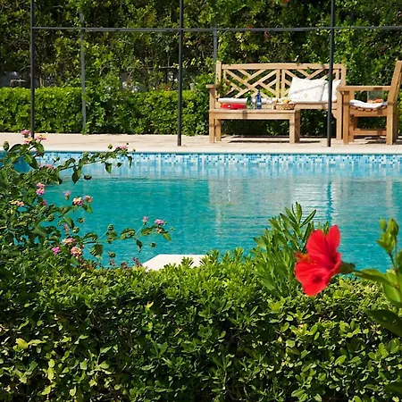 Lucia Simona * Mousata